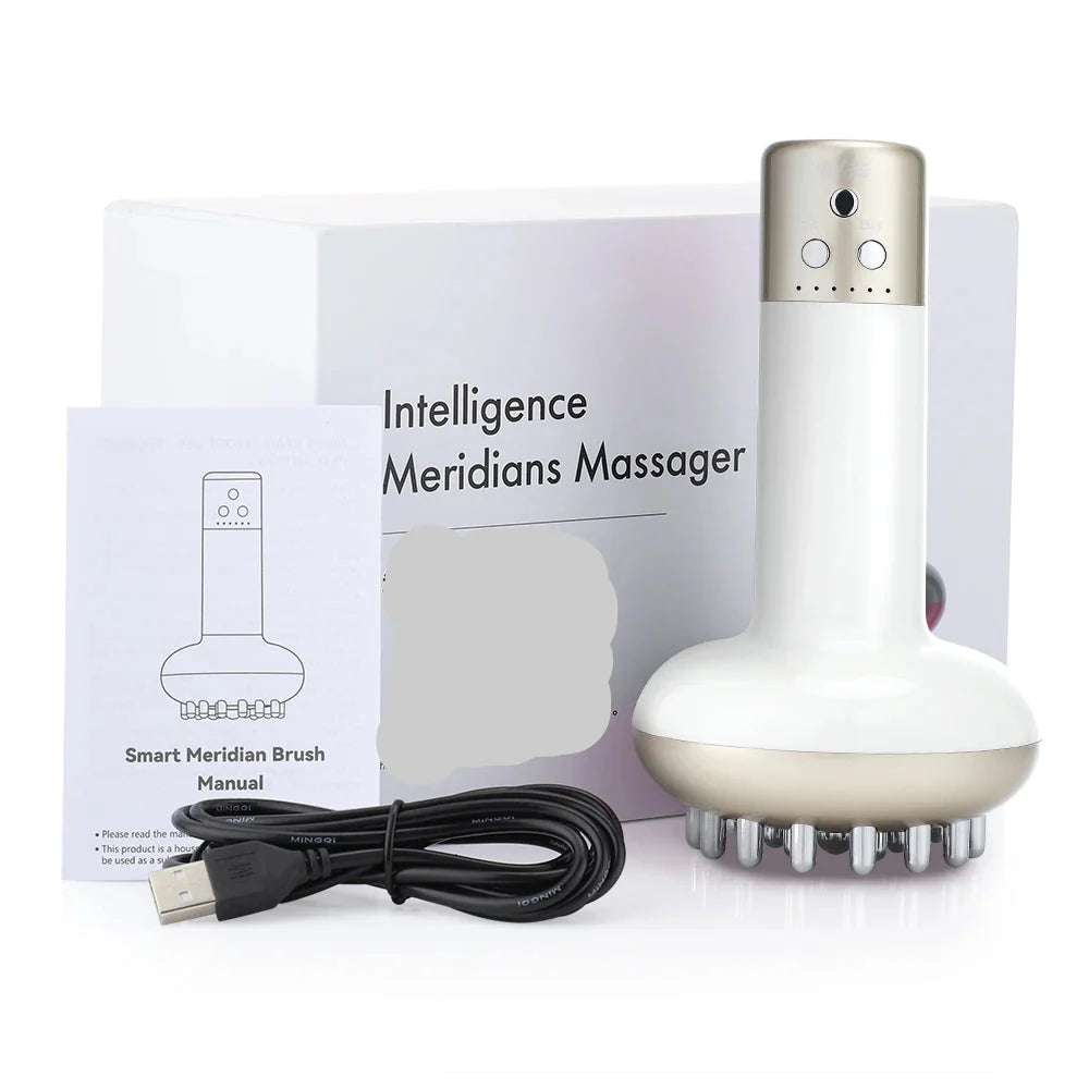 Masseur Guasha Rechargeable Chauffant - SHOP VELUMIA